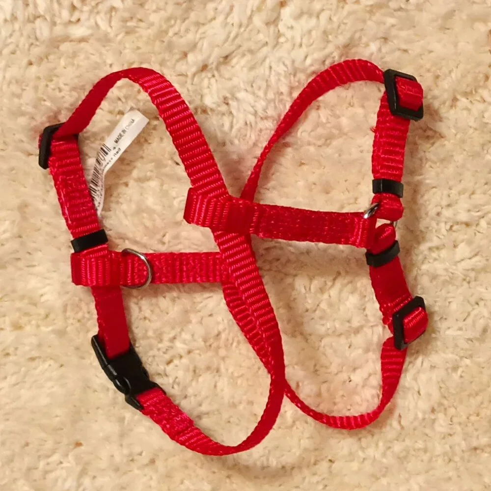 EUC~ PetSafe Come w/ Me Kitty Nylon Cat Harness & Bungee Leash + 1 Red Harness